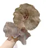 Gomas para el pelo sencillas de estilo coreano para coletas y moños, versátiles para el uso diario y citas, duraderas y suaves con el cabello, accesorios para el cabello