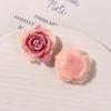 Sueño Color Arcoíris Azúcar Sentido Rosa Joyería Parche Aretes DIY Tocado Accesorios para el Cabello Zapatos con Agujeros Zapatos Accesorios de Flores