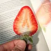 SQTYU069 Marcapáginas acrílico translúcido transfronterizo, marcapáginas de alta estética con diseño de fruta fresa para libros de estudiantes