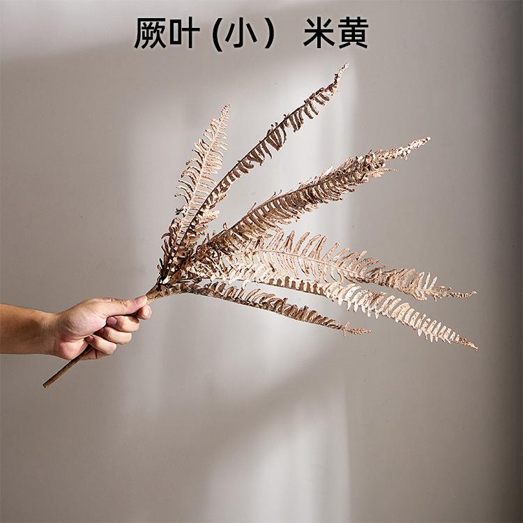 厥叶 (小） 米黄