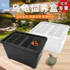 Caja de Cría a Prueba de Escape para Tortugas con Tapa, Caja de Aislamiento Transpirable para Crías de Tortuga, Mini Tanque de Contención Temporal de Plástico, Caja de Almacenamiento para Reptiles