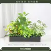 Flores Artificiais Flores de Simulação Exibição de Flores Caixa de Flores Decoração Flores de Plástico Plantas Biomórficas Calha de Flores ao Ar Livre Simulação Verde Plantas Combinação de Paisagismo