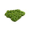Césped de musgo de simulación, musgo de seda, jardinería interior y exterior, planta verde biónica, fondo de pared, bonsái, micropaisaje, decoración