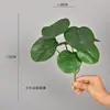 Plantas verdes artificiais, folhas de costela-de-adão, folhas de begônia, folhas de macieira, folhas perfuradas, folhagem para micro paisagismo, materiais de decoração macios, tema floresta