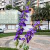 2025 Nueva Boda Morada Flor Artificial Bola de Cebolla Verde Nieve Iris Hierba Golondrina Voladora Orquídea Flor Artificial de Boda Venta al por Mayor