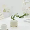 Bonsái Tocón Viejo Bonsái Cuatro Estaciones Plantas Fáciles de Cultivar Escritorio Oficina Floración Resistente a la Sequía Plantas Verdes Plantas Pequeñas en Maceta