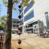 Cadena de Lluvia de Abeja Oxidada Nueva Transfronteriza, Cadena de Lluvia para Aleros para Canaletas de Drenaje, Recolección de Agua de Lluvia para Jardín Exterior