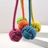 Juguete de Tire y Afloja para Perros, Juguete para Perros para la Dentición, Juguete Resistente para Masticar para Cachorros, Suministros para Mascotas para Perros Pequeños, Procesamiento de Cuerda Masticable para Mascotas