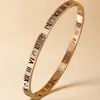 Pulsera Romana de Acero Titanio con Incrustaciones de Diamantes, Estilo Europeo y Americano, para Mujer, Nicho de Lujo Ligero, Pulsera de Alta Gama con Incrustaciones de Diamantes