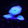 Decoraciones para Acuario Tanque de Peces Plantas Acuáticas Silicona Simulada Efecto Fluorescente - Coral Alfombra Paisajismo Paisajismo Fluorescente
