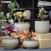 Vasos de Cerâmica Bruta Sem Esmalte para Flores Frescas com Características Zen Criativas, Novo Conjunto Respirável para Plantas Suculentas, Frete Grátis