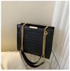 Bolso de Mujer Transfronterizo 2024 Nuevo Bolso de Hombro de Moda Patrón Piedra Cadena Bolso Cruzado Joker Texturizado Bolso Cuadrado Pequeño