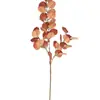 Envío Directo de Fábrica de Accesorios de Fotografía de Hoja de Eucalipto Premium de Tres Ramas Transfronterizos, Paisajes de Jardín, Decoraciones Artificiales de Flores para Bodas
