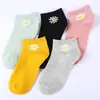 Calcetines de Barco para Exportación de Primavera y Verano, Calcetines Bajos, Calcetines de Mujer de Colores Caramelo, Calcetines Cortos de Margarita a la Moda, Calcetines Invisibles Transpirables