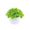 Suministro directo de fábrica al por mayor accesorios de utilería para fotografía de plantas verdes artificiales adornos de bonsái hogar plástico flor artificial en maceta panacea para bebés