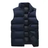 Chaleco de cuello de otoño e invierno para hombre, holgado, combinable, corto, cálido, sin mangas, chaqueta informal de algodón a la moda