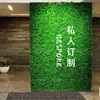 Parede de Plantas Simuladas Parede de Plantas Verdes Tridimensional Flores Artificiais Bíônicas Superfície de Parede de Fundo Paisagem Decoração de Parede Externa de Loja
