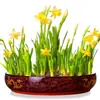 Maceta hidropónica de cobre extra grande para flores, cuenco con hoja de loto, flor de loto, maceta especial, hada del agua, cerámica, diámetro grande, bambú rico, cuenco redondo