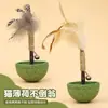 Brinquedo para Gato com Catnip, Matatabi, Pena e Sino para Entretenimento e Exercício