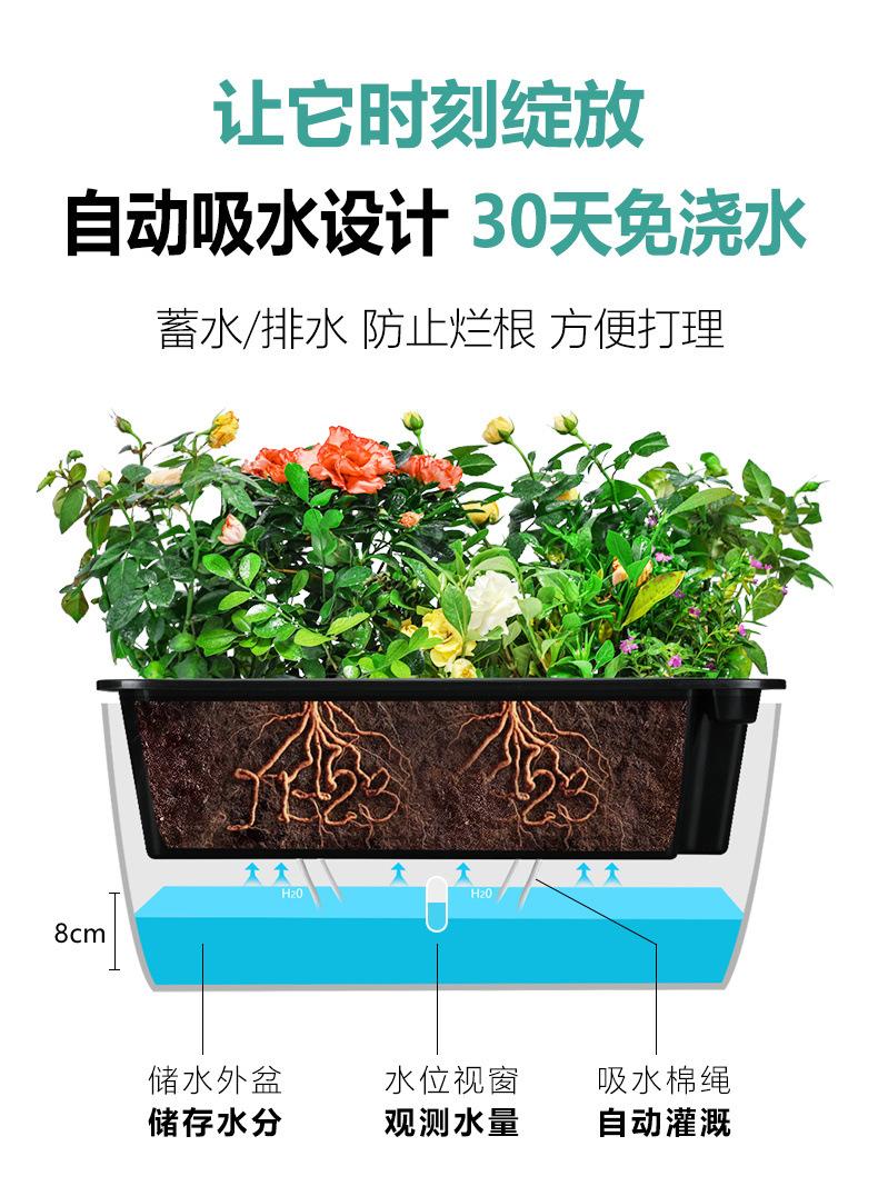 详情1