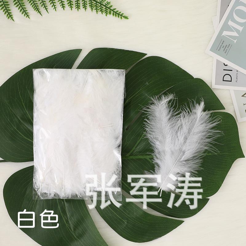 主图白色.jpg