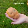 Modelo de patata de simulación fruta falsa verdura espuma comida niños cognitivo educación temprana accesorios ventana decoraciones de restaurante