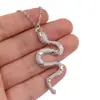 Collar de Serpiente de Comercio Transfronterizo Europeo y Americano para Hombres y Mujeres Colgante de Serpiente para Parejas Cadena para Suéter con Colgante de Serpiente Versátil Retro