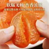Nueva Llegada de Carne de Albaricoque Rojo Seco sin Hueso, Empaquetado Individualmente, Snacks de Albaricoque Seco Suaves y Masticables, Snacks de Fruta Conservada Dulces y Ácidos, Albaricoques Rojos Secos