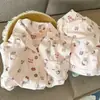 Novo conjunto de pijamas femininos para primavera e outono 2026, algodão nuvem, manga longa, gola pequena, manga longa, calça longa, conjunto de roupa para casa