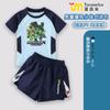 Roupa de Banho Infantil Minecraft Meninos Dividida Manga Longa Jovem M e G Calções de Banho Infantis Meninos Proteção Solar Equipamento de Natação