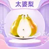Yantai, Shandong, Pera Taipo al por mayor y entrega 3/5/ 4.5 kg Pera Plátano, Pera de Esposa, Pera Cabeza Grande, Fruta Fresca