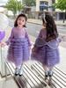Vestido para Menina Estilo Primavera e Outono, Vestido de Menina de Alta Qualidade, Vestido Tutu Infantil, Vestido Bolo de Aniversário Conjunto de Duas Peças Tendência