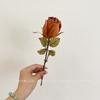 Venta al por mayor de flores artificiales de una sola rosa retro antiguas con borde horneado, flores falsas, decoración para el hogar, accesorios para fotos de boda