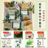 Adesivo de Parede Cultura Poética da Turma do Jardim de Infância Livro de Criação Ambiental Canto de Leitura Decoração de Sala de Aula Papel para Aprender Caligrafia Decoração de Jardim de Fragrância de Livro