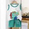 Traje de Chaleco para Niños Verano Algodón Puro Niños Nuevo Niñas Pantalones Cortos Ropa Transfronteriza Ropa Infantil Mayorista Dropshipping