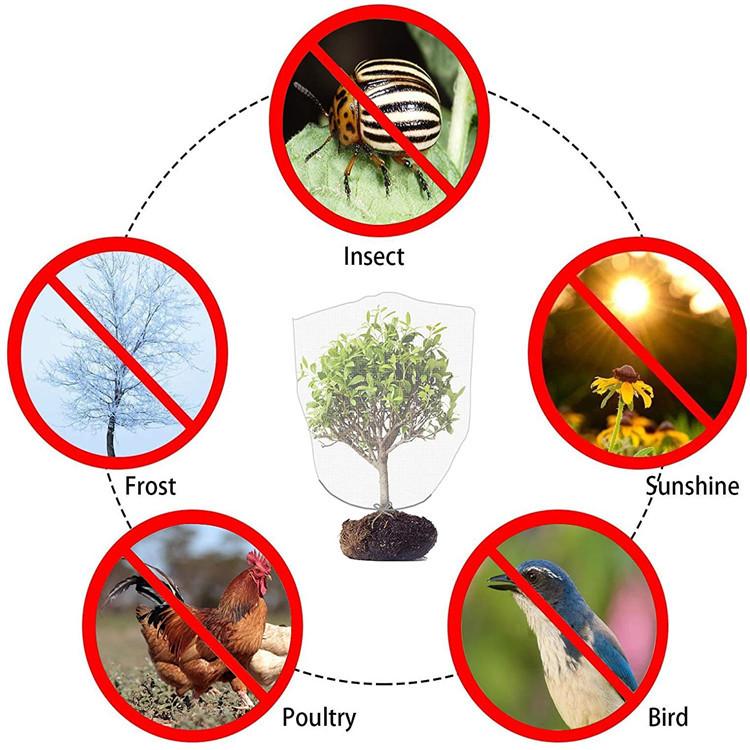 71BfXeHWokL._AC_SL1500_