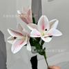 Lirio medio abierto 3D 2 flores 1 paquete de flor artificial perfume impresión de lirio tacto de lirio decoración accesorios para el hogar boda