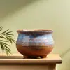 Grupo vaso de flor de carne crua cerâmica household grés pote de cerâmica pote de cerâmica de diâmetro grande prato de flor verde liquidação especial atacado