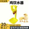 Bebedouro de Aves Personalizado pelo Fabricante para Pecuária, Bebedouro para Frango e Pato, Bebedouro de Frango