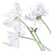 [Flor Sanguinária (Cabeça dupla)] Flores Artificiais de Plástico Simulado Decoração Salão de Casamento Fresco Ins Enfeites de Flores para Casa