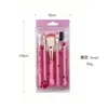 Kit de Pincéis de Maquiagem 5 Pincéis Ferramentas de Maquiagem para Iniciantes Exclusivo Transfronteiriço Kit de Pincéis de Maquiagem Cangzhou Pó Solto
