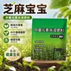 Aumento da produção de gergelim e agente de intumescimento Fertilizante foliar para gergelim Vagens e grãos cheios Bebê de gergelim Aumento da produção e aumento da renda Fertilizante especial para gergelim