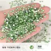 Diamantes Redondos Planos Sueltos Ss4 Color Ab Abanico Rey Pedrería para Uñas Brillantes Redondos Pequeños Mini Soporte