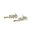 Brincos Longos e Curtos com Franjas de Zircônia e Pérolas para Mulheres, Brincos de Estilo Nicho, Novo Estilo Quente 2025 Exquisite Earrings