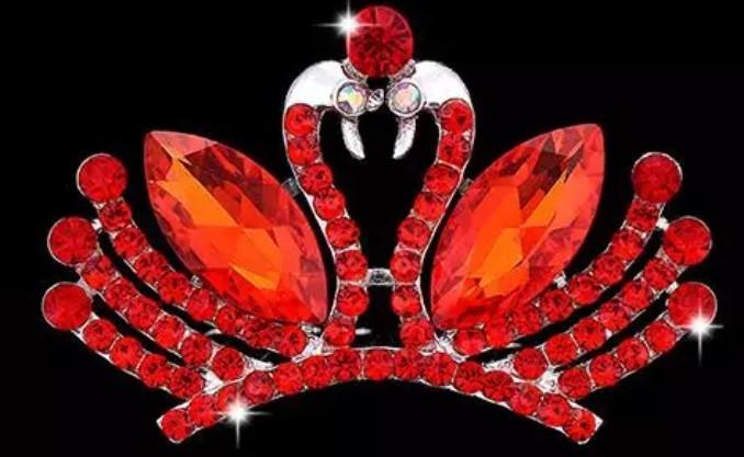 9034499694_1637384191