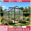 Invernadero de Aluminio 6*8 de Acceso Amplio para Flores, Invernadero de Jardín con Estructura de Aleación de Aluminio y Panel de PC, Invernadero para Suculentas y Flores de Uso Doméstico