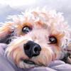 Pintura de Diamantes 5D para Perro DIY Diamante Completo Sala de Estar Dormitorio Animal Pintura Decorativa Venta Caliente Transfronteriza Fábrica Venta Directa