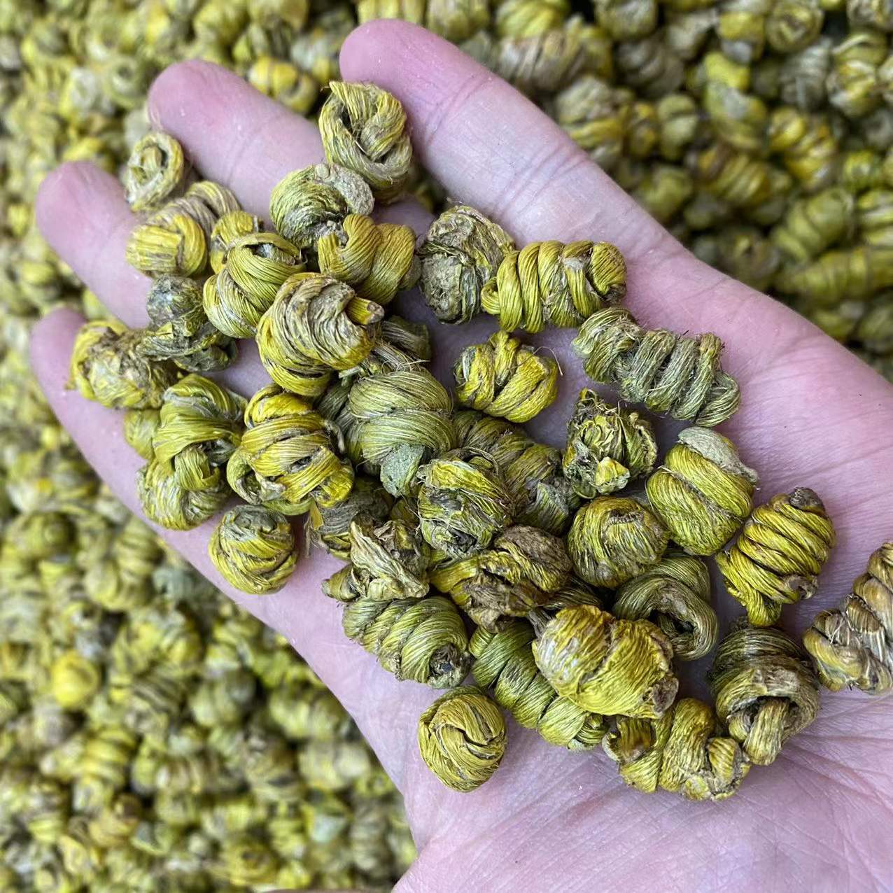 微信图片_20211220165434