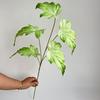 5 Folhas de Begônia Folhas de Chuva de Primavera Flores Artificiais de Casamento Fotografia Planta de Casa Decoração Floral Mori Vestido Suave Simulação Plantas Verdes