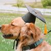 Sombrero para Mascota, Sombrero de Doctor, Sombrero para Perro con Borla, Gorro de Graduación para Gato y Perro, Ropa para Mascota Pequeña Estilo Británico Transfronteriza de Amazon